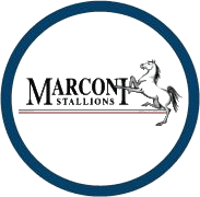 马可尼logo